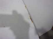 Achsschenkel Halter Rechts Vorne 364764 Citroën C5 II Berline (RC) Schrägheck 2.0 HDiF 16V (DW10BTED4(RHR))