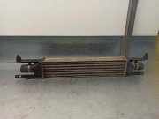 Ladeluftkühler 55700449 Fiat Grande Punto (199) Schrägheck 1.3 JTD Multijet 16V VGT (199.A.3000)