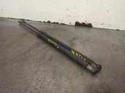 Gasdruckfedern Set Hinten 8232873 BMW SERIE 3 TOURING (E46) 2.0 Diesel CAT