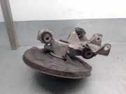 Achsschenkel Halter Rechts Hinten 8200687522 Renault Vel Satis (BJ) Großraumlimousine 2.0 dCi 16V 175 FAP (Euro 5))