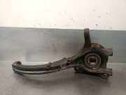 Achsschenkel Halter Rechts Vorne 5171639600 Hyundai XG Limousine 3.5 V6 24V (G6CU)