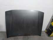 Motorhaube 7751465359 Renault (B48_) 2.0 (B48R/Y)