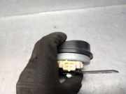 Hupe 256101691R Renault ZOE (BFM_) ZOE