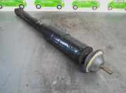 Stoßdämpfer Links Vorne 1403232100 Mercedes-Benz CLASE S (W140) COUPE 5.0 V8 32V CAT