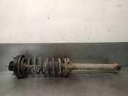 Stoßdämpfer Links Hinten 1106738 Ford BERLINA/TURNIER 1.8 Turbodiesel