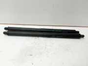 Gasdruckfedern Set Hinten 729419901 BMW X5 (E70) SUV xDrive 35d 3.0 24V (N57-D30A)