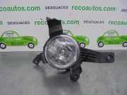 Nebelscheinwerfer Rechts Vorne 8320221500 SsangYong Rodius Gro?raumlimousine 2.0 e-200 Xdi 16V 2WD (D20DTR(Euro 5))