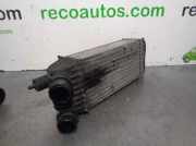 Ladeluftkühler 1498987080 Fiat Scudo (270) Van 1.6 D Multijet (DV6UTED4(9HU))