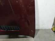 Motorhaube 41617008328 BMW X5 (E53) SUV 3.0 24V (M54-B30(306S3))