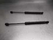 Gasdruckfeder Set Vorne 3V0823359A Skoda (3V3) 2.0 TDI