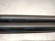 Gasdruckfedern Set Hinten 1K6827550F Volkswagen Golf V (1K1) Schrägheck 1.9 TDI (BLS) BLS