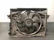 Kühlerventilator 214818009R Dacia Sandero II Schrägheck 1.2 16V (D4F-732(D4F-F7))