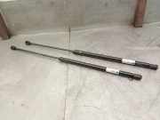 Gasdruckfedern Set Hinten 8731F1 Citroën Xsara Picasso (CH) Großraumlimousine 1.6 HDi 16V 110 (DV6TED4(9HY))