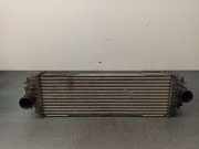 Ladeluftkühler 1449600Q0A Nissan Primastar Van 1.9 dCi 80 (F9Q-762)
