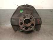 Achsschenkel Halter Rechts Vorne A1693300620 Mercedes-Benz CLASE B Sports Tourer (W245) B 180 CDI (245.207)