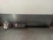 Stoßdämpfer Links Hinten 13211806 Opel Corsa D Schrägheck 1.2 16V (Z12XEP)