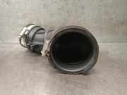 Schlauch 2520038 Ford Transit Van 2.0 TDCi 16V Eco Blue 130 (YMF6)