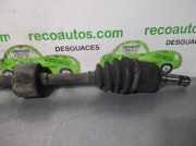 Stoßfängerträger Hinten 51730921 Fiat Croma (194) Schrägheck 1.9 D Multijet 16V (939.A.2000)