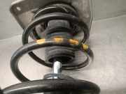 Stoßdämpfer Links Vorne 1498471087 Fiat Ulysse (179) Großraumlimousine 2.2 JTD 16V (DW12TED4(4HW))