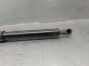 Gasdruckfedern Set Hinten D56070 BMW 5 serie Touring (E61) Kombi 525d 24V (256D2)