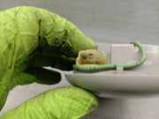 Innenbeleuchtung 9280022000IA Hyundai Accent II/Excel II/Pony Limousine 1.3i 12V (G4EH)