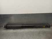 Stoßdämpfer Rechts Hinten A2033263000 Mercedes-Benz C (W203) Limousine 2.2 C-220 CDI 16V (OM611.962)