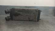 Ladeluftkühler 1498987080 Citroën Jumpy (G9) Van 1.6 HDI 16V (DV6UTED4(9HU))