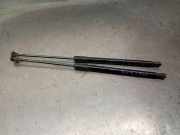 Gasdruckfedern Set Hinten 904508213R Renault Clio V (RJAB) Schrägheck 5-drs 1.0 TCe 100 12V (H4D-B4)