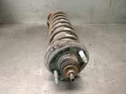 Sto?d?mpfer Links Hinten RPD000660 Rover Streetwise Schr?gheck 1.4 16V (14K4F)