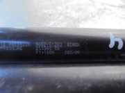 Gasdruckfeder Set Vorne 9652151280 Citroën C6 (TD) Limousine 3.0 HDiF V6 24V (DT20C(X8Z))