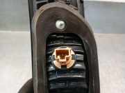 Scharniere Fiat Linea (323AX) Limousine 1.3 D Multijet 16V VGT (199.A.3000)