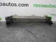 Ladeluftkühler 51790623 Peugeot Bipper (AA) Van 1.3 HDI (199.A.9000)