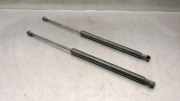 Gasdruckfedern Set Hinten 51247239871 BMW 1 serie (F20) Schrägheck 5-drs 116d 1.5 12V TwinPower (B37-D15A)