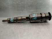Kraftstoff-Injector 0445110252 CitroÃ«n C3 (FC/FL/FT) SchrÃ¤gheck 5-drs 1.4 HDi (DV4TD(8HZ)) DV4TD(8HZ)