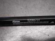 Gasdruckfedern Set Hinten 52085731 Fiat TIPO II (357) FAM Easy