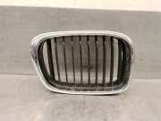 Grill 51137005838 BMW 5 serie (E39) Limousine 530i 24V (M54-B30(306S3))