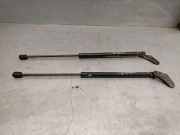 Gasdruckfedern Set Hinten 017254 Toyota (_T25_) 1.8 (ZZT251_)