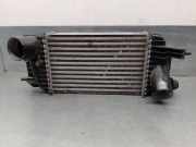 Ladeluftkühler 144611KC0B Nissan Juke (F15) SUV 1.6 DIG-T 16V (MR16)
