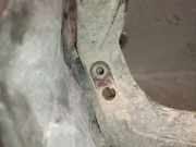 Achsschenkel Halter Rechts Vorne 432110D230 Toyota Yaris III (P13) Schrägheck 1.5 16V Hybrid (1NZ-FXE)