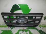 Grill 8636005610 Hyundai Atos Schrägheck 1.1 12V Prime (G4HG)