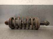 StoÃŸdÃ¤mpfer Links Hinten XK Jaguar XJ6 series I/II/III Limousine 4.2 Series II/III (XK(4.2))