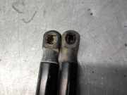 Gasdruckfeder Set Vorne 30784935 Volvo XC60 I (DZ) SUV 2.0 D3 16V (D4204T4)