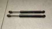 Gasdruckfedern Set Hinten 8E5827552J Audi A4 (B7) Limousine 2.0 TDI 16V (BLB)