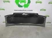 Motorhaube GRIS Citroën CITROËN JUMPER CAJA ABIERTA (1) 2.5 Diesel