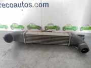 Ladeluftkühler DELPHI Opel B 2.0 DTI