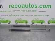 Gasdruckfedern Set Hinten Renault Megane Break/Grandtour (KA) Kombi 5-drs 1.9 dTi 80 (F9Q-744)