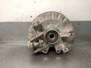 Achsschenkel Halter Links Hinten A1663570105 Mercedes-Benz GLE (W166) 250 d 4-matic (166.004)