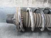 Sto?d?mpfer Links Hinten RPB101650 Land + Range Rover Freelander Hard Top Gel?ndewagen 2.0 di (20LTCIE)