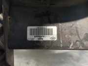 K?hlerventilator 8200884679 Renault MEGANE II BERLINA 5P 1.9 dCi Diesel