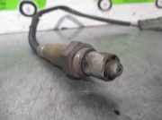 Achsschenkel Halter Links Vorne 40015EB000 Nissan (R51) *